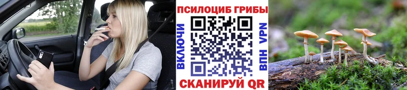 Псилоцибиновые грибы мухоморы Котельнич