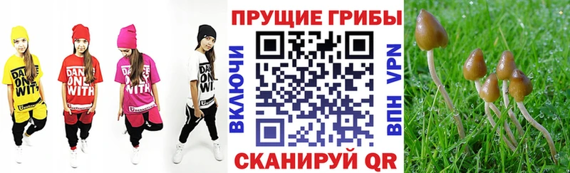 Псилоцибиновые грибы GOLDEN TEACHER МЕГА tor Котельнич